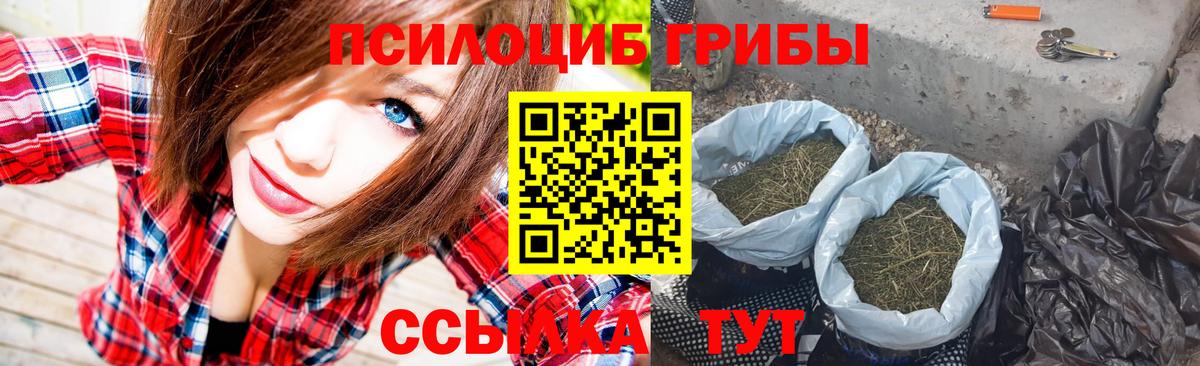 Псилоцибиновые грибы прущие грибы  Галлюциногенные грибы MAGIC MUSHROOMS  Магнитогорск  Вход с VPN 